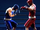 Punchers Boxing
