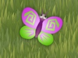 Butterfly Party
